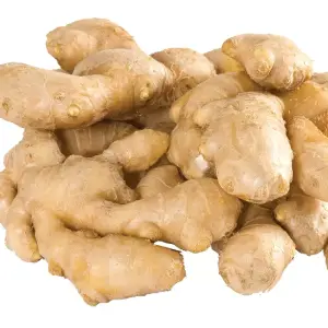 Ginger