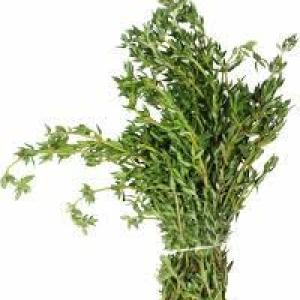 Fresh thyme leave
