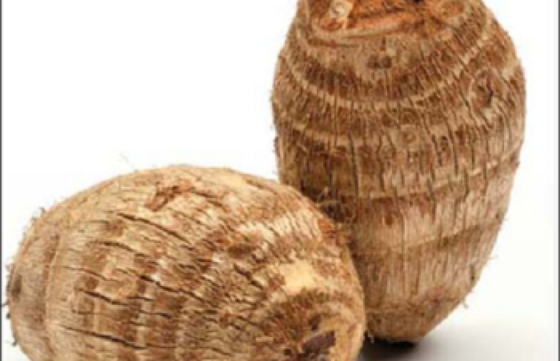 Cocoyam