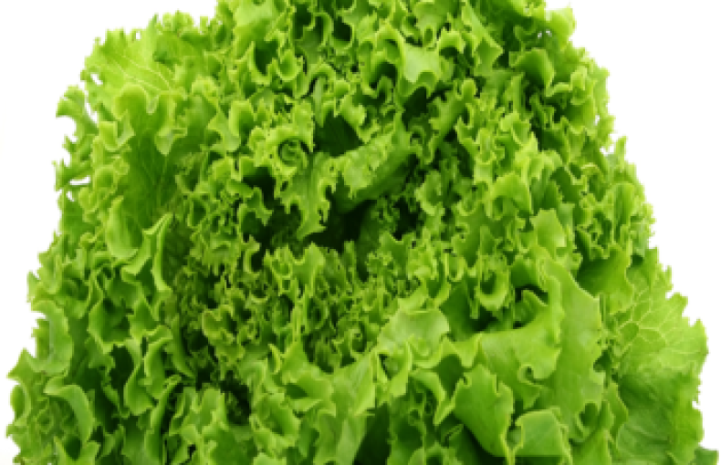 Lettuce 1kg