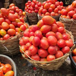 1kg Tomatoes