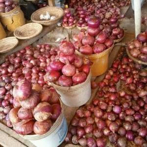 Onions 1kg