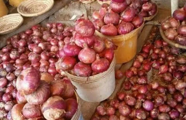 Onions 1kg