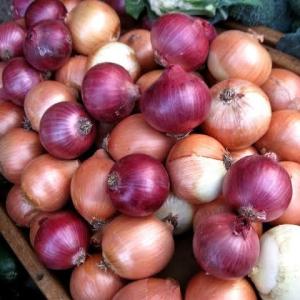 Onions 1kilo