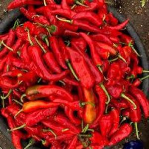 Shombo 1kg