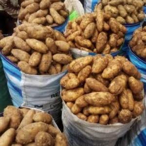 1kg Sweet Potato