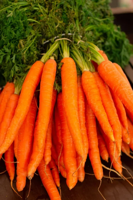 Carrots Bunch